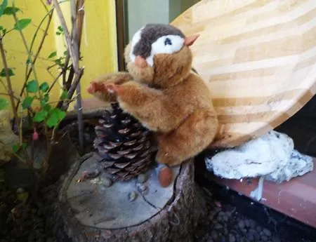 Lo Scoiattolo * Castellafiume