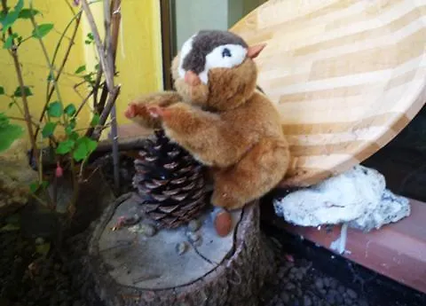 Lo Scoiattolo * Castellafiume